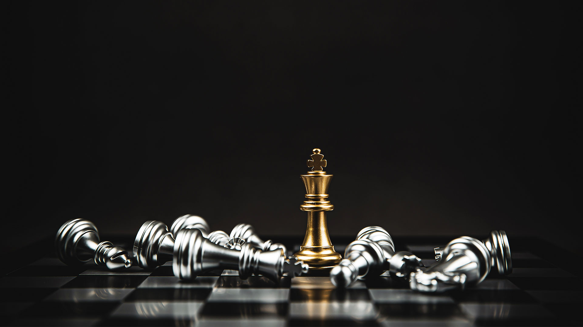 Güvenilir Partneriniz MST Holland